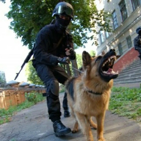 D_a_n_y_a Y_u_k_l_y_a_e_v_s_k_y