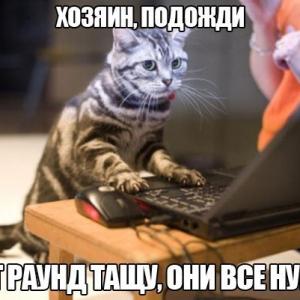 Hard_Skill_Maloi